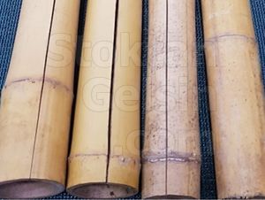 Bitki Destek Çubuğu Bambu 300cm 40-50mm 4 Adet