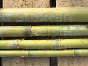 Bitki Destek Çubuğu Bambu 90cm 15-20mm 4 Adet